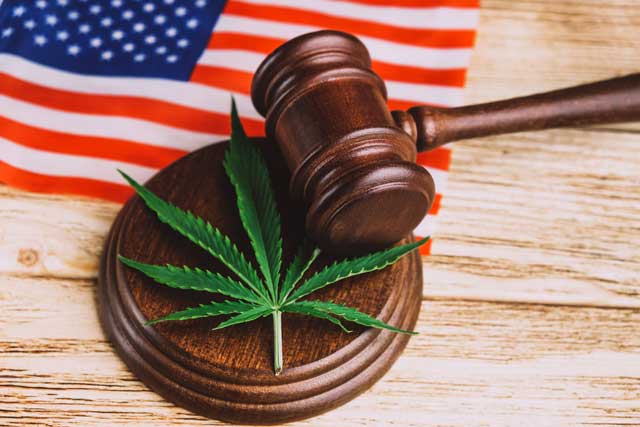 TaxBuzz Top 5 - Trump Order to Reclassify Cannabis Could Have Tax Impact, ICC Warns UN Talks Could Lead to Double Taxation & More