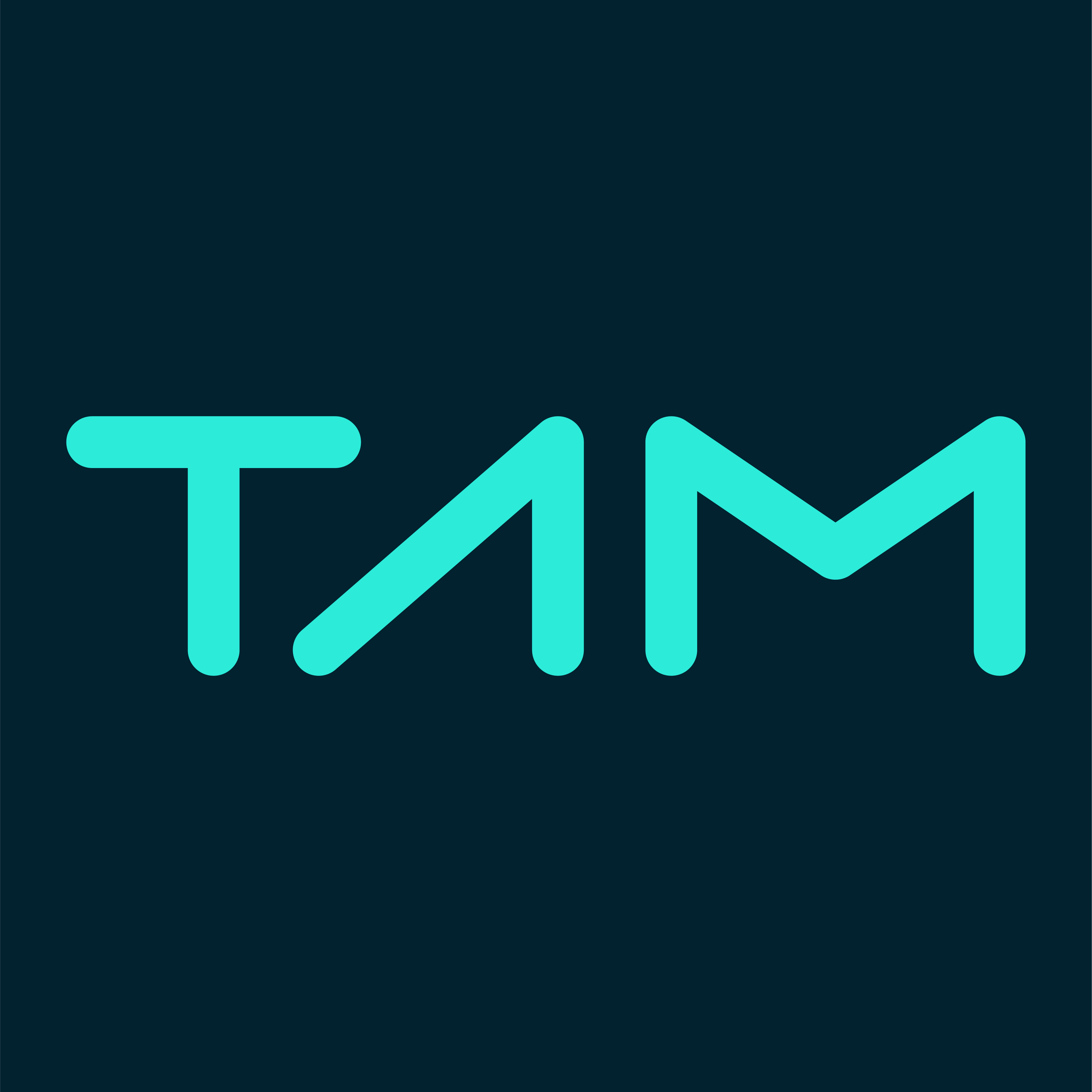 TAM ACCOUNTING INC.