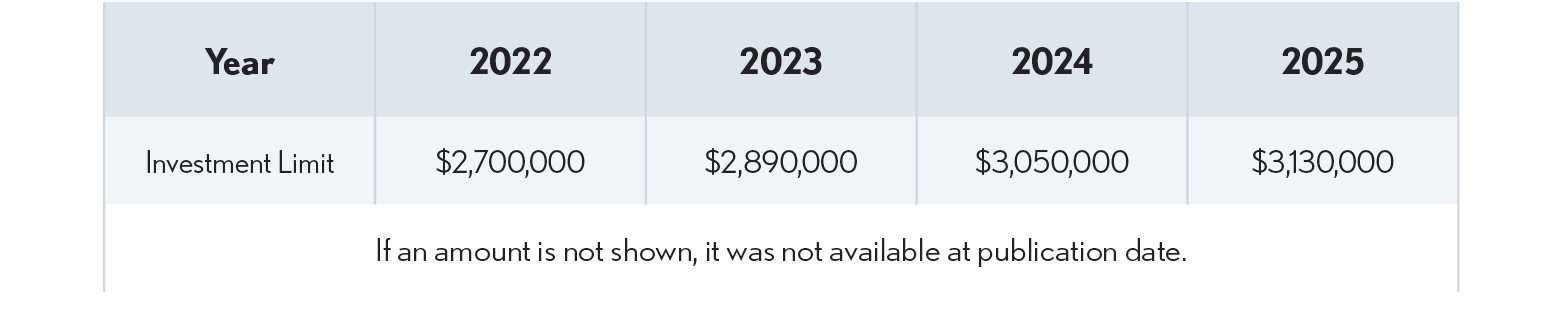 03.06.04 Investment Limit 2025
