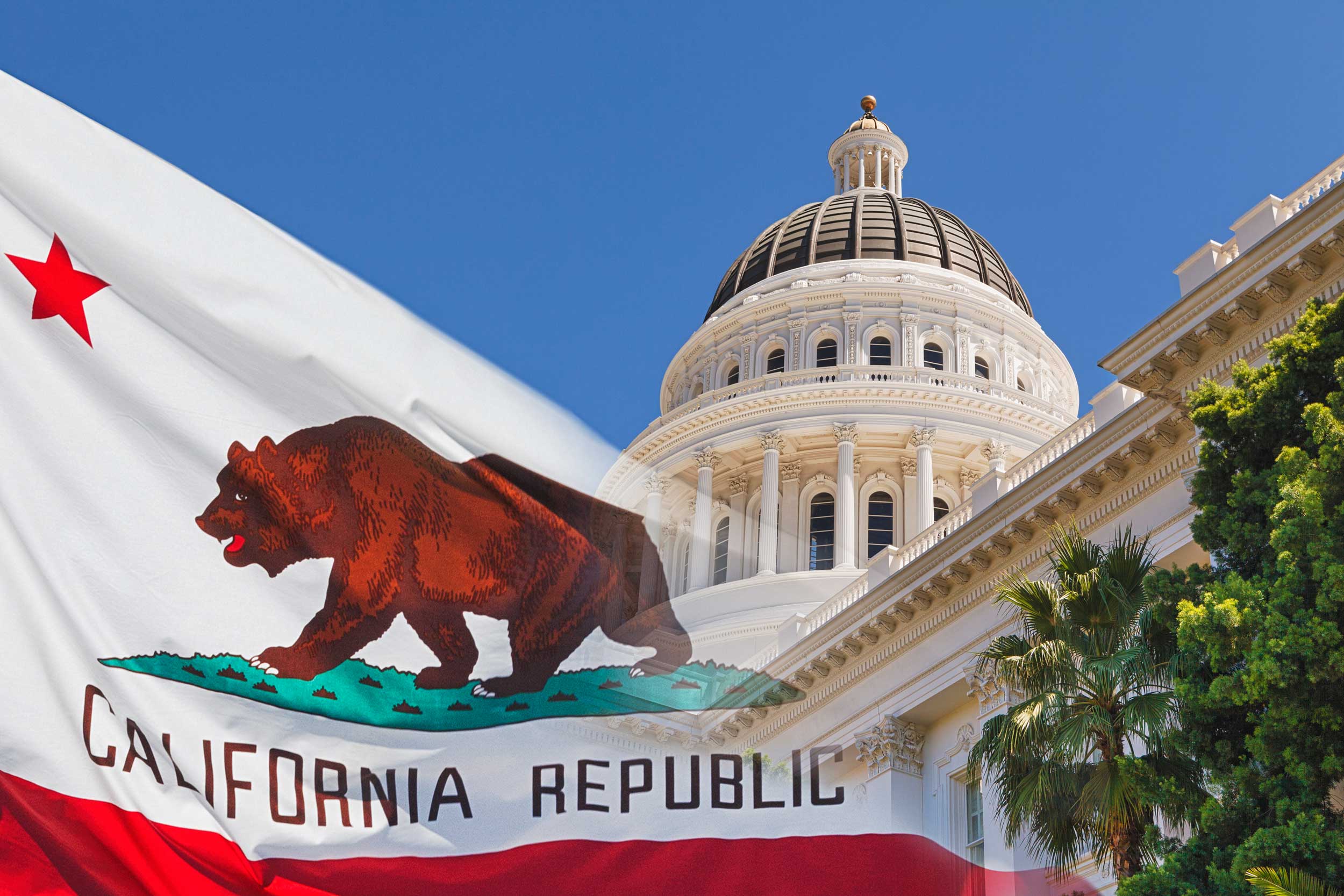 TaxBuzz Top 5 - CA Wealth Tax Sparks Call for Levies in Other States, OR to Partially Disconnect from Federal Tax System & More