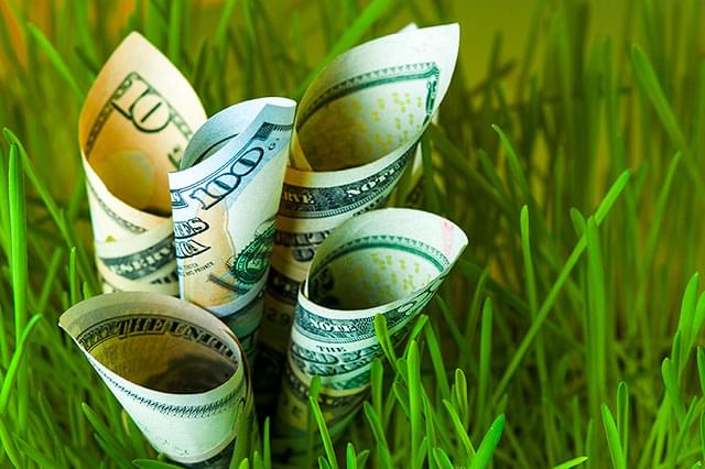 Creating a Low-Cost Marketing Budget  